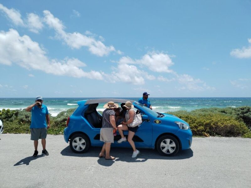 Cozumel: Beaches Buggy Tour With Tequila Tasting - Activity Highlights