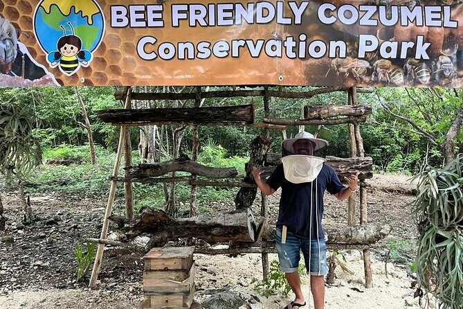 Cozumel: Bee Farm + Honey & Chocolate Tasting + Sightseeing - Introduction: An Authentic Slice of Cozumel