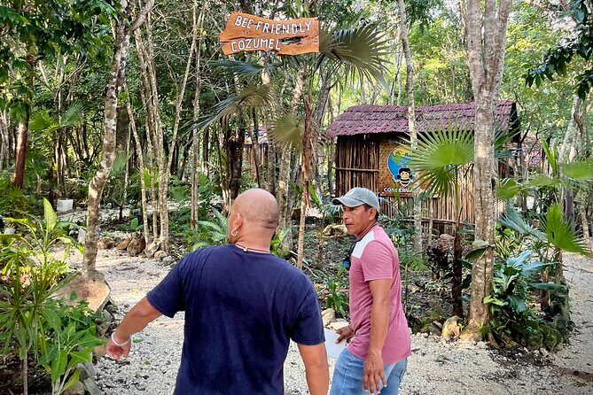 Cozumel: Bee Farm + Honey & Chocolate Tasting + Sightseeing - Key Points