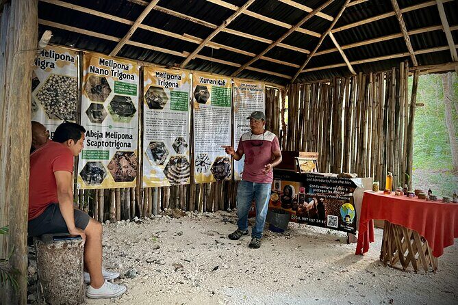 Cozumel: Bee Farm + Honey & Chocolate Tasting + Sightseeing - The Value Proposition