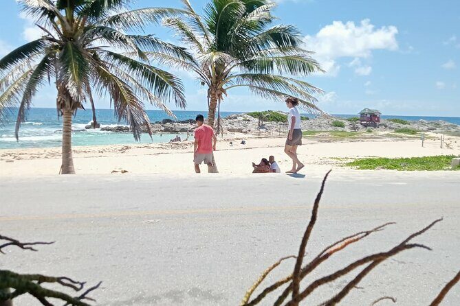 Cozumel Best Spots (Beach-Mayan Park-Downtown) - A Closer Look at the Tour Experience
