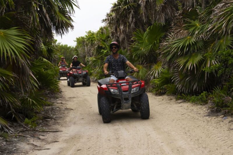 Cozumel: Buggy Adventure to Punta Sur Park and Snorkel - Itinerary Highlights