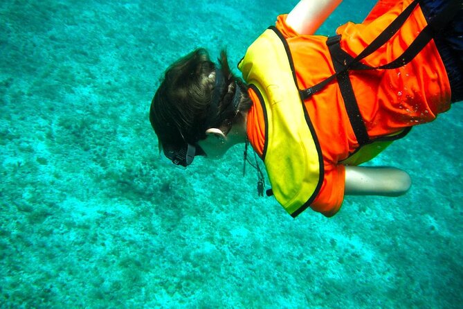 Cozumel Buggy Tour: Snorkeling & Lunch - Snorkeling Experiences