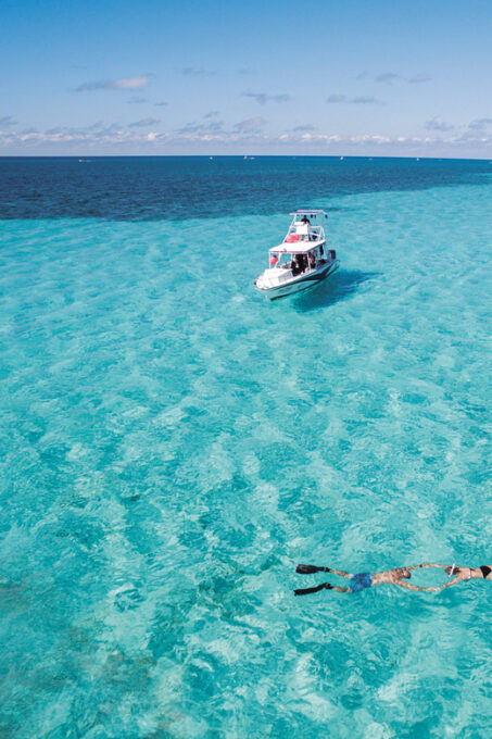 Cozumel Catamaran Party; El Cielo, Colombia & Palancar Reef - Customer Feedback and Ratings