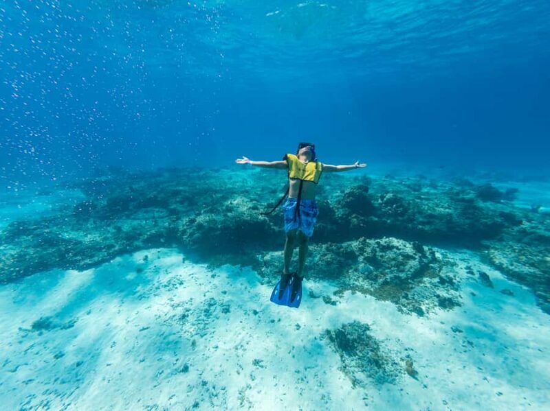 Cozumel Catamaran Snorkeling Tour & lunch - Who Will Enjoy This Tour?