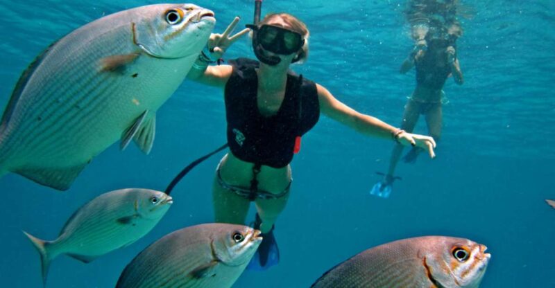 Cozumel: Chankanab Park Day Pass and Snorkeling Tour - Key Points