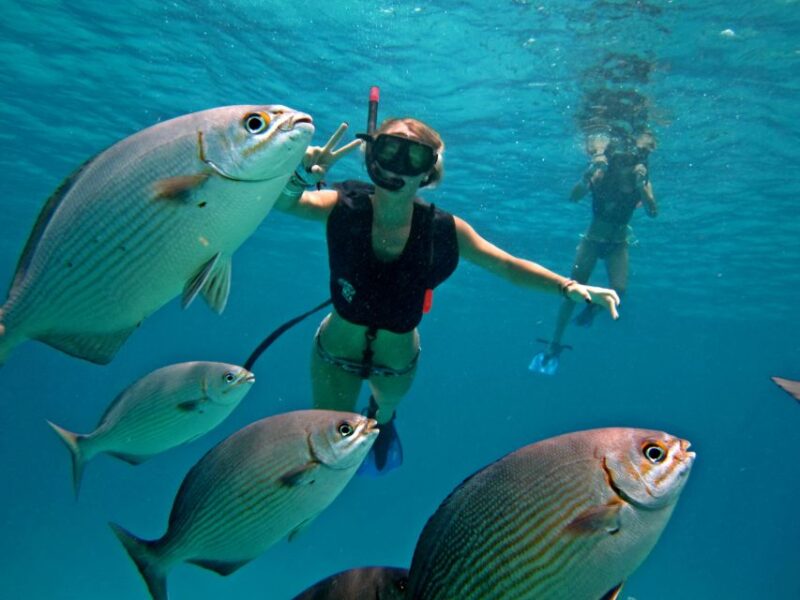 Cozumel: Chankanab Park Day Pass and Snorkeling Tour - Experience Highlights