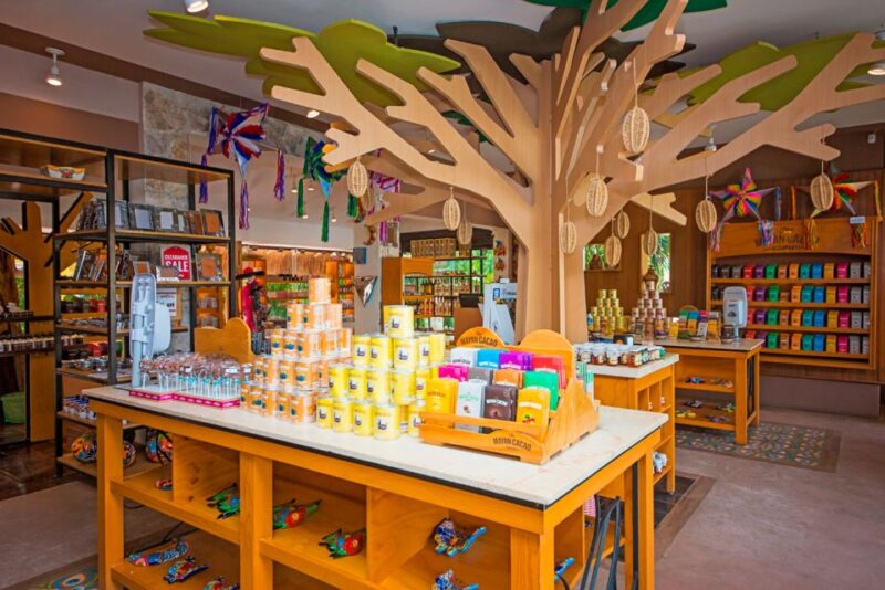 Cozumel: Chocolate Workshop at The Mayan Cacao Company - Highlights of the Experience