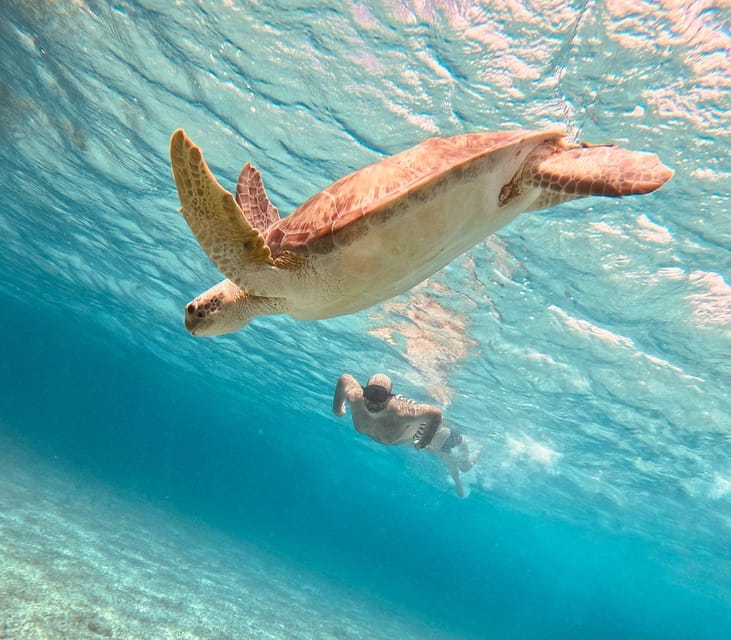 Cozumel: Cielo & Palancar Snorkel With Snack & Drinks - Key Points