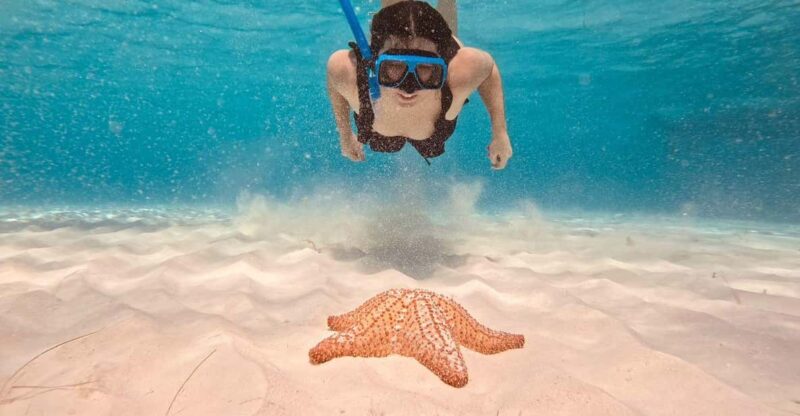 Cozumel: Cielo & Palancar Snorkel With Snack & Drinks - Itinerary and Experience