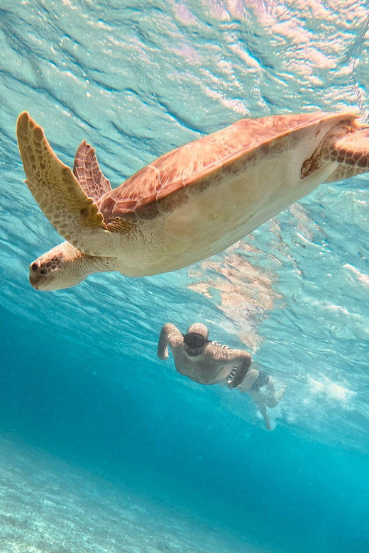 Cozumel: Cielo & Palancar Snorkel With Snack & Drinks - Locations and Attractions