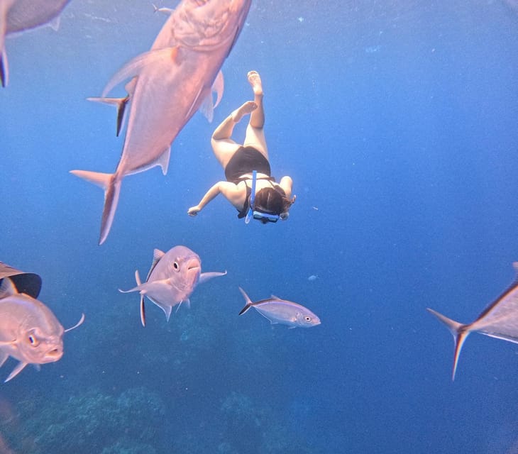Cozumel: Cielo & Palancar Snorkel With Snack & Drinks - Inclusions and Amenities