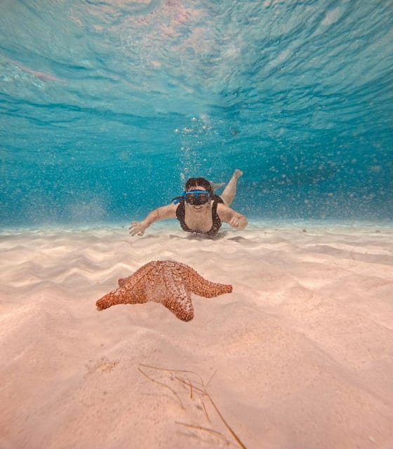 Cozumel: Cielo & Palancar Snorkel With Snack & Drinks - Customer Feedback and Ratings