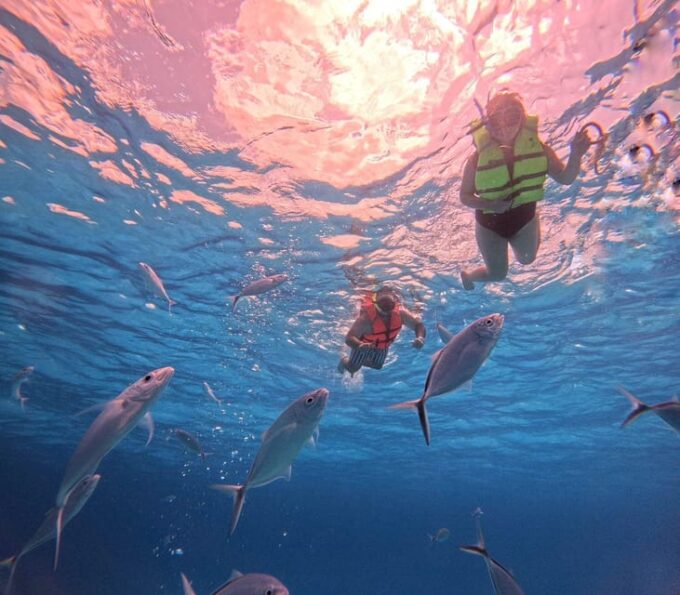 Cozumel: Cielo & Palancar Snorkel With Snack & Drinks - Vibrant Coral Formations