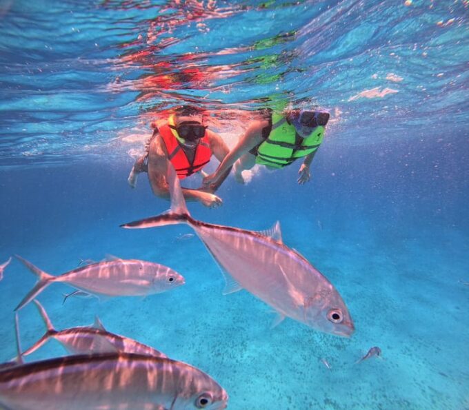 Cozumel: Cielo & Palancar Snorkel With Snack & Drinks - Diverse Marine Life