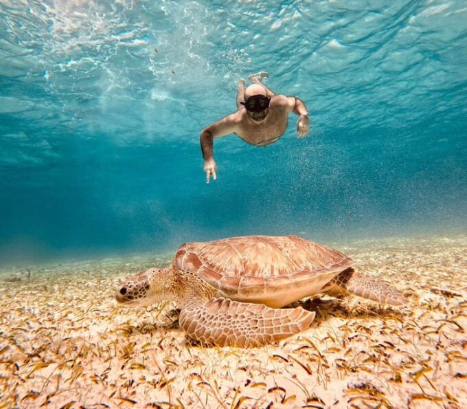 Cozumel: Cielo & Palancar Snorkel With Snack & Drinks - Relaxation Spot