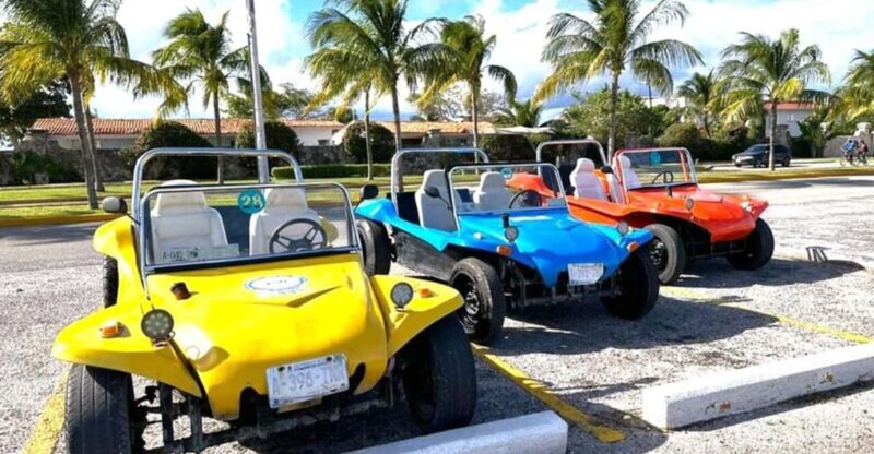 Cozumel: Classic Jeep or Buggy Island Tour to Punta Sur - Key Points