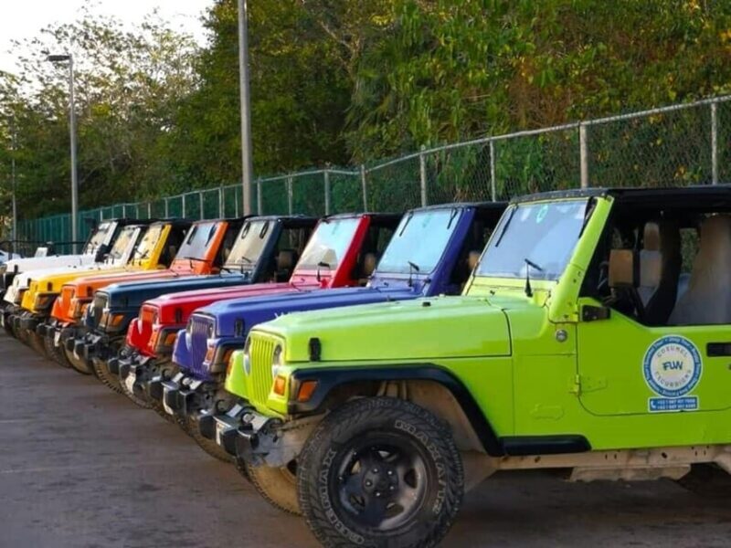 Cozumel: Classic Jeep or Buggy Island Tour to Punta Sur - Inclusions