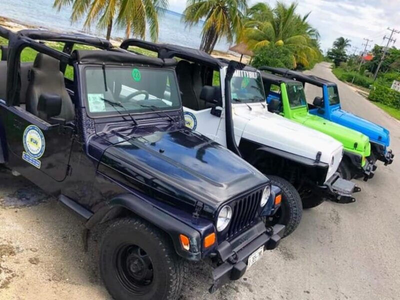 Cozumel: Classic Jeep or Buggy Island Tour to Punta Sur - Participant Requirements and Restrictions