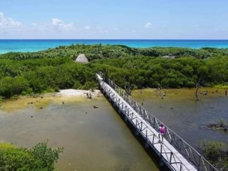 Cozumel: Classic Jeep or Buggy Island Tour to Punta Sur - Scenic Drive to Punta Sur