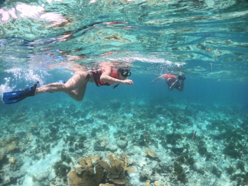 Cozumel: Clear Boat & Snorkel Tour - Included Amenities