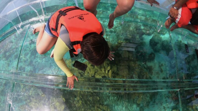 Cozumel: Clear Boat & Snorkel Tour - Booking Information