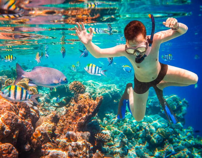 COZUMEL : Coral Laboratory and Chankanaab Eco Park. - Educational Focus and Community Involvement