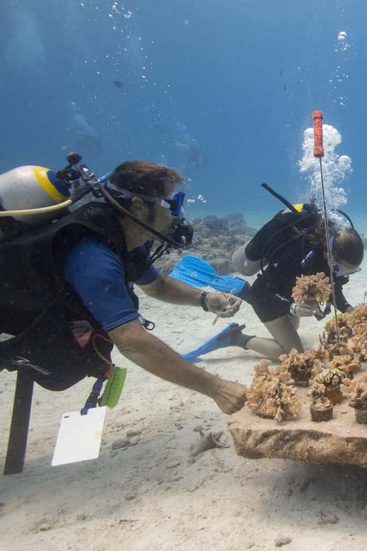 COZUMEL : Coral Laboratory and Chankanaab Eco Park. - Accessibility and Cancellation
