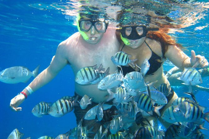 Cozumel Coral Reef Snorkeling by Glass Bottom Boat With Guide - Guide Services
