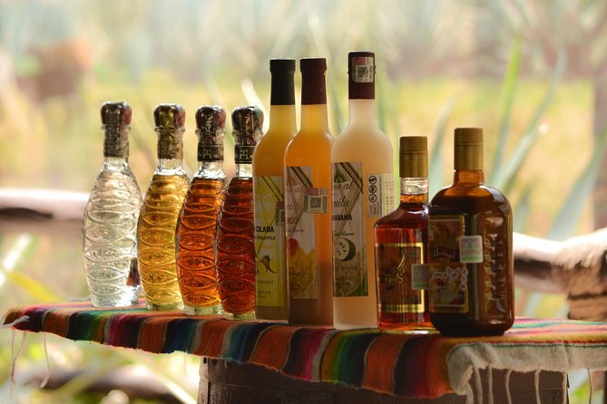 Cozumel Cultural Jeep Tour With Mayan Village and Mexican Lunch - Booking Information