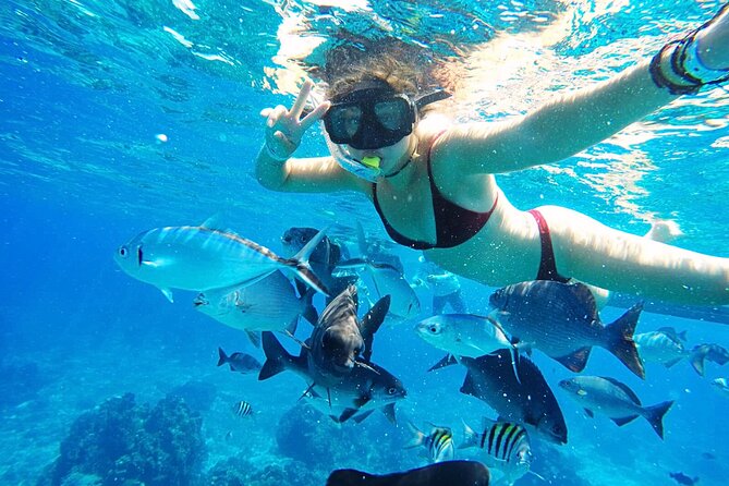 Cozumel Day Pass at San Francisco Beach Club - Accessibility and Additional Info