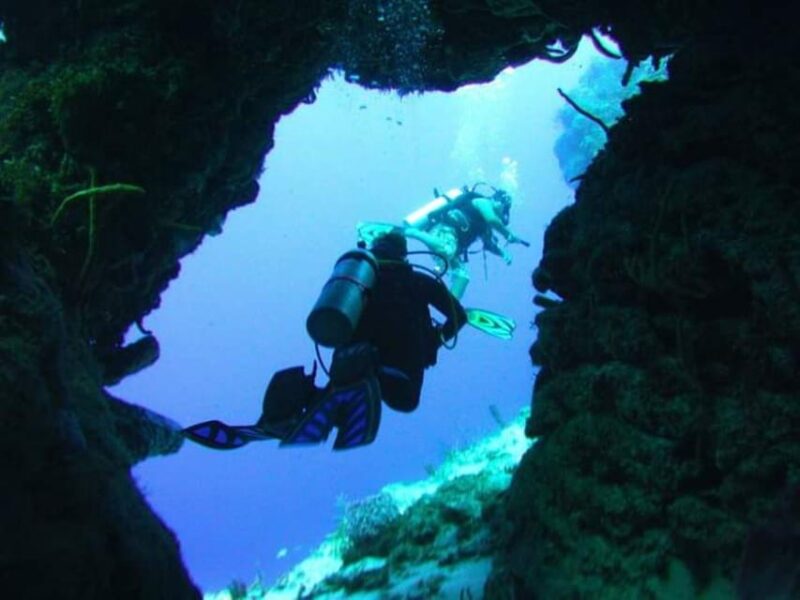 Cozumel: Discover Scuba Dive - Dive Experience Highlights