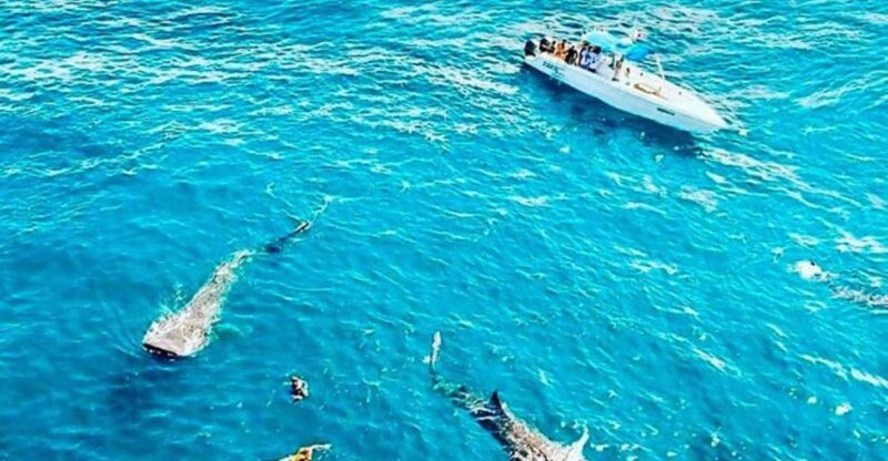 Cozumel: Discover Scuba Dive - Safety and Instructor Guidance