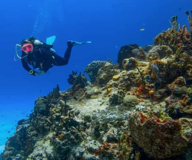 Cozumel: Discover Scuba Diving in Cozumels Pristine Waters - Explore Renowned Dive Sites
