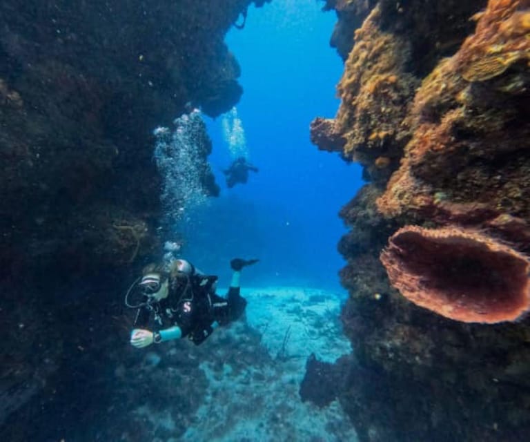 Cozumel: Discover Scuba Diving in Cozumels Pristine Waters - Inclusions and Amenities