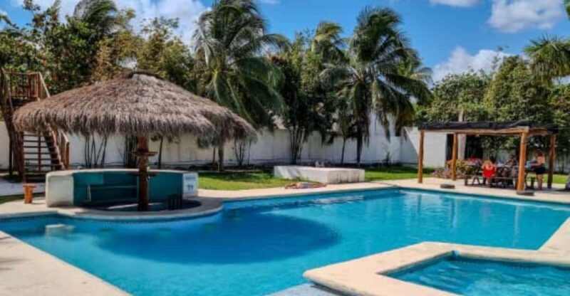 Cozumel: Discover Scuba Diving in Puerto Morelos - Dive Sites and Marine Life