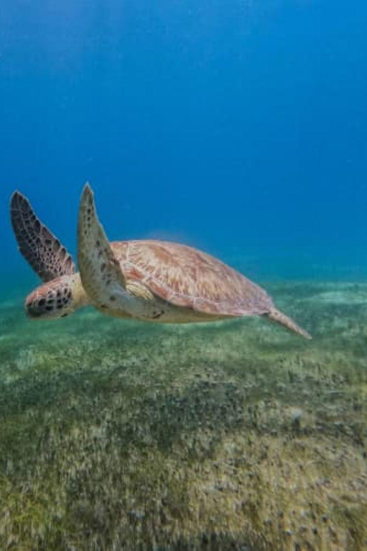 Cozumel: Discover Scuba Diving in Puerto Morelos - Dive Gear and Inclusions