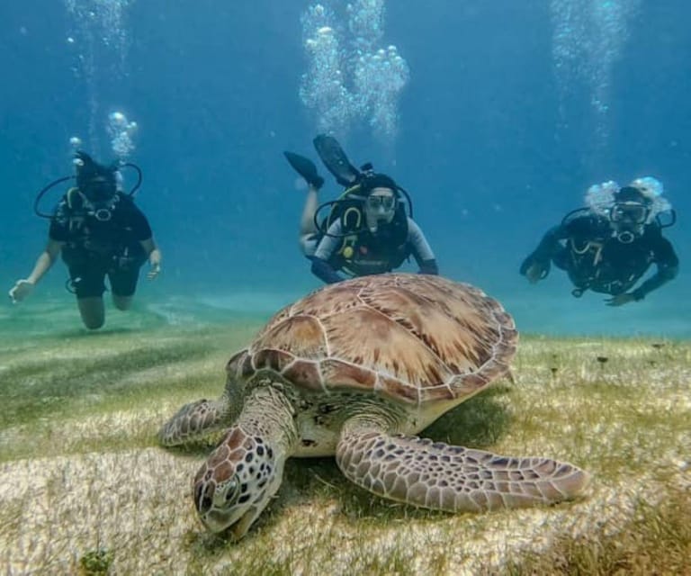 Cozumel: Discover Scuba Diving in Puerto Morelos - Booking and Cancellation Policy