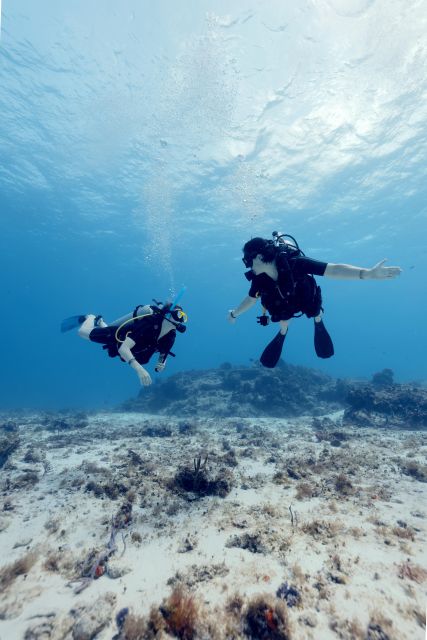 Cozumel: Discover Scuba Diving - Itinerary and Training