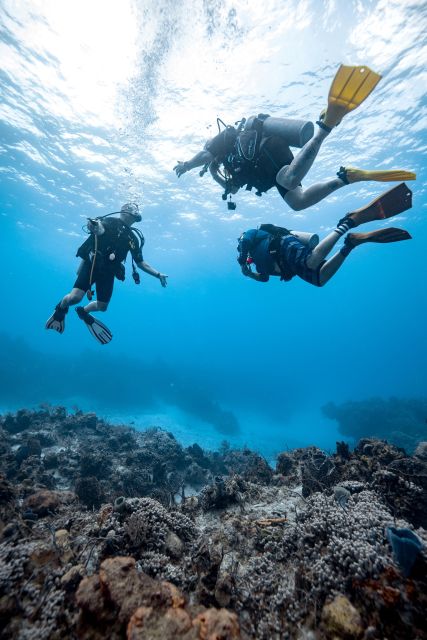 Cozumel: Discover Scuba Diving - Inclusions and Requirements