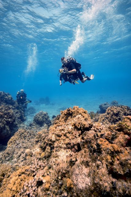 Cozumel: Discover Scuba Diving - Frequently Asked Questions