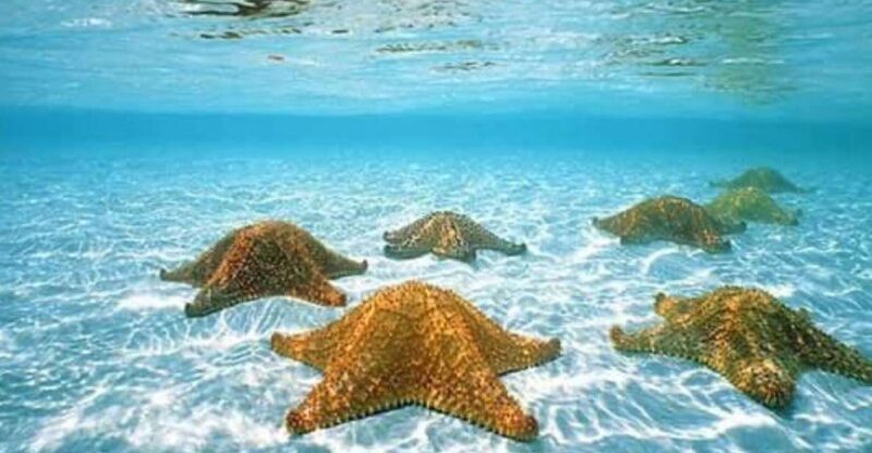 Cozumel: Dive in the Worlds Second Largest Coral Reef - Frequently Asked Questions