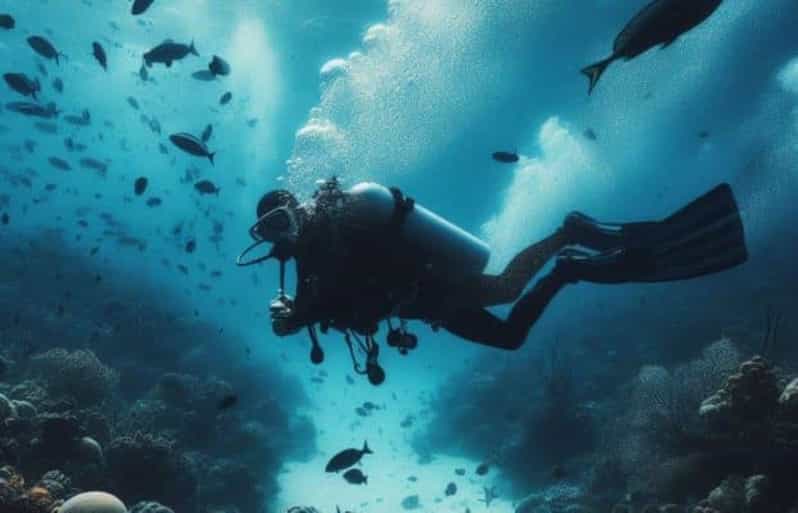 Cozumel: Diving Experience - Key Points