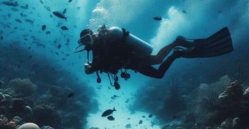 Cozumel: Diving Experience - Diving Specifications