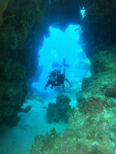 Cozumel: Diving Marine Park 2 Dive Sites - Inclusions