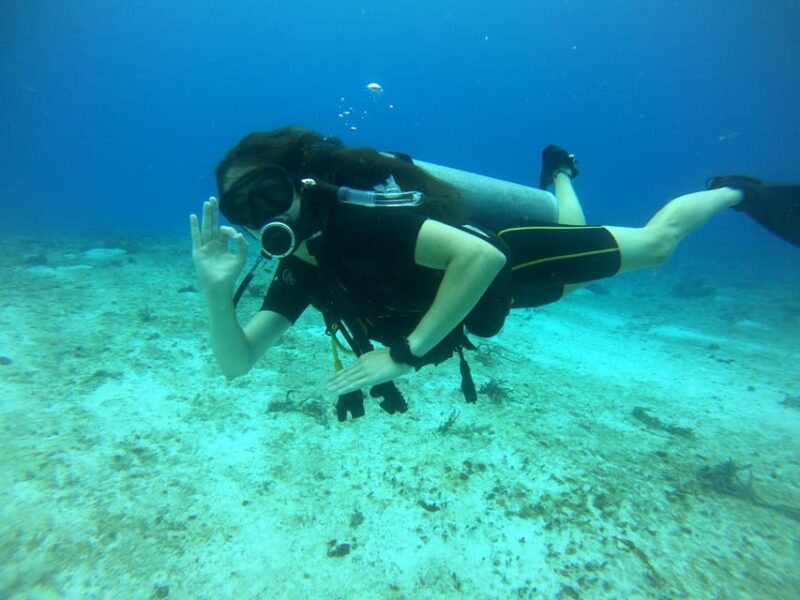 Cozumel: Diving Marine Park 2 Dive Sites - Requirements