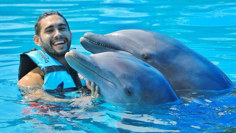 Cozumel: Dolphin Royal Swim and Manatee Interaction - Key Points