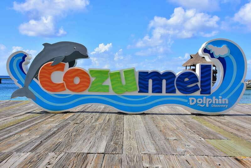 Cozumel: Dolphin Royal Swim and Manatee Interaction - Who Will Love This Experience?