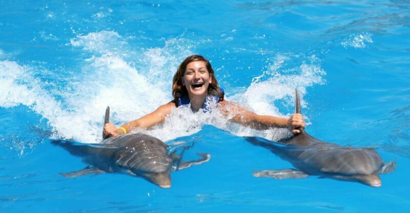 Cozumel: Dolphin Royal Swim and Manatee Interaction - The Sum Up