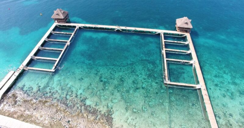Cozumel: Dolphin Royal Swim - VIP Area and Amenities